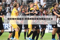 突尼斯对英格兰(世界杯突尼斯对英格兰比分)