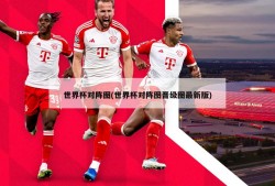 世界杯对阵图(世界杯对阵图晋级图最新版)