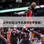 公牛队员(公牛队员评价罗德曼)