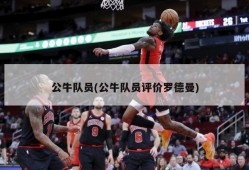 公牛队员(公牛队员评价罗德曼)