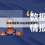 羽毛球冠军(羽毛球冠军张宁)
