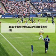 2023中超积分榜(2025中超联赛积分榜)
