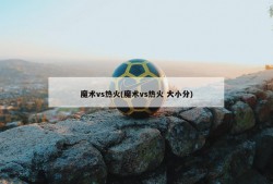 魔术vs热火(魔术vs热火 大小分)