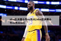 nba总决赛小牛vs热火(nba总决赛小牛vs热火G4)
