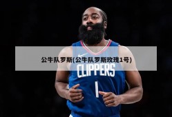 公牛队罗斯(公牛队罗斯玫瑰1号)