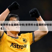 世界杯小组赛积分榜(世界杯小组赛积分榜排名)