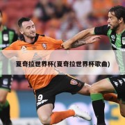 夏奇拉世界杯(夏奇拉世界杯歌曲)