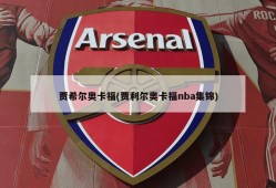 贾希尔奥卡福(贾利尔奥卡福nba集锦)