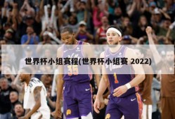 世界杯小组赛程(世界杯小组赛 2022)