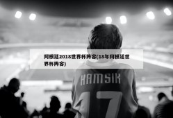阿根廷2018世界杯阵容(18年阿根廷世界杯阵容)