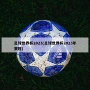 足球世界杯2023(足球世界杯2023年赛程)