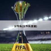 公牛队(公牛队吉迪)