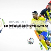卡塔尔世界杯排名(2022世界杯战绩表)