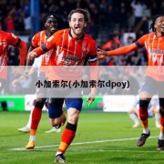 小加索尔(小加索尔dpoy)