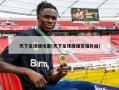 天下足球维埃里(天下足球维维安福片段)