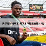 天下足球维埃里(天下足球维维安福片段)