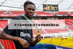 天下足球维埃里(天下足球维维安福片段)