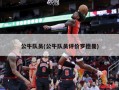 公牛队员(公牛队员评价罗德曼)