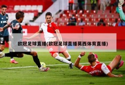 欧冠足球直播(欧冠足球直播莫西体育直播)