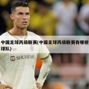 中国足球丙级联赛(中国足球丙级联赛有哪些球队)