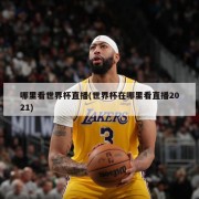 哪里看世界杯直播(世界杯在哪里看直播2021)