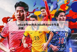 nba小牛vs热火(nba热火vs小牛总决赛)