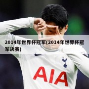2014年世界杯冠军(2014年世界杯冠军决赛)