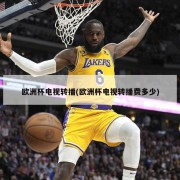 欧洲杯电视转播(欧洲杯电视转播费多少)
