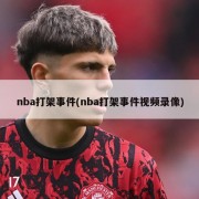 nba打架事件(nba打架事件视频录像)