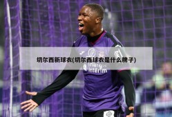 切尔西新球衣(切尔西球衣是什么牌子)