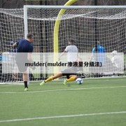 mulder(mulder渗液量分级法)