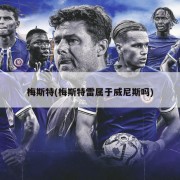 梅斯特(梅斯特雷属于威尼斯吗)