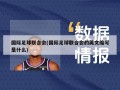 国际足球联合会(国际足球联合会的英文缩写是什么)