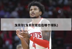 戈贝尔(戈贝尔现在在哪个球队)