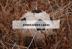 足球宝贝(足球宝贝人体彩绘)