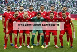 林书豪尼克斯vs爵士(林书豪尼克斯第一场)