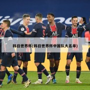 韩日世界杯(韩日世界杯中国队大名单)