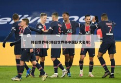 韩日世界杯(韩日世界杯中国队大名单)