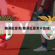斯泽比亚克(斯泽比亚克十佳球)
