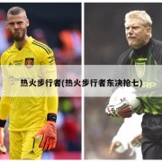 热火步行者(热火步行者东决抢七)