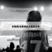 任骏威(任骏威身高是多少米)