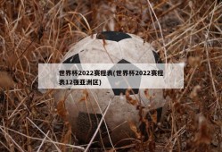 世界杯2022赛程表(世界杯2022赛程表12强亚洲区)