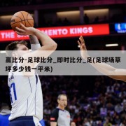 赢比分-足球比分_即时比分_足(足球场草坪多少钱一平米)