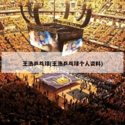 王浩乒乓球(王浩乒乓球个人资料)