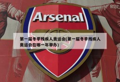 第一届冬季残疾人奥运会(第一届冬季残疾人奥运会在哪一年举办)