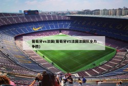 葡萄牙vs法国(葡萄牙VS法国法国队全力争胜)