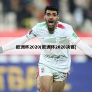 欧洲杯2020(欧洲杯2020决赛)