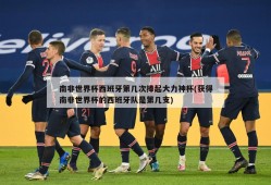 南非世界杯西班牙第几次捧起大力神杯(获得南非世界杯的西班牙队是第几支)