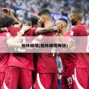 柏林赫塔(柏林赫塔降级)