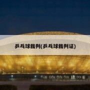 乒乓球裁判(乒乓球裁判证)